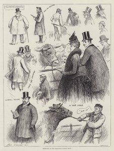 Sketches at the Islington Cattle Show